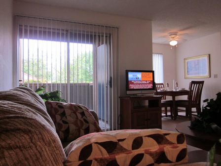 a living room with a couch and a tv and a dining room